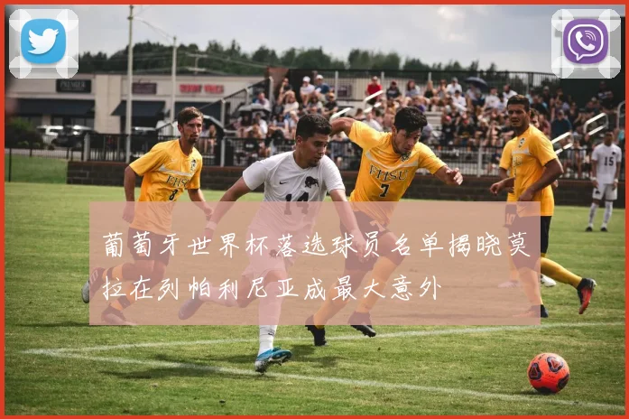 葡萄牙世界杯落选球员名单揭晓莫拉在列帕利尼亚成最大意外