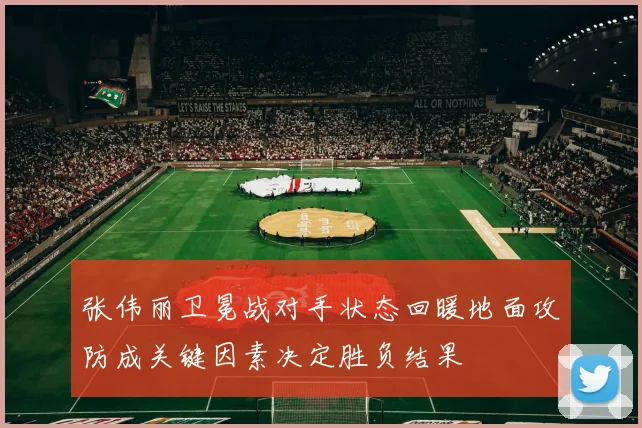张伟丽卫冕战对手状态回暖地面攻防成关键因素决定胜负结果