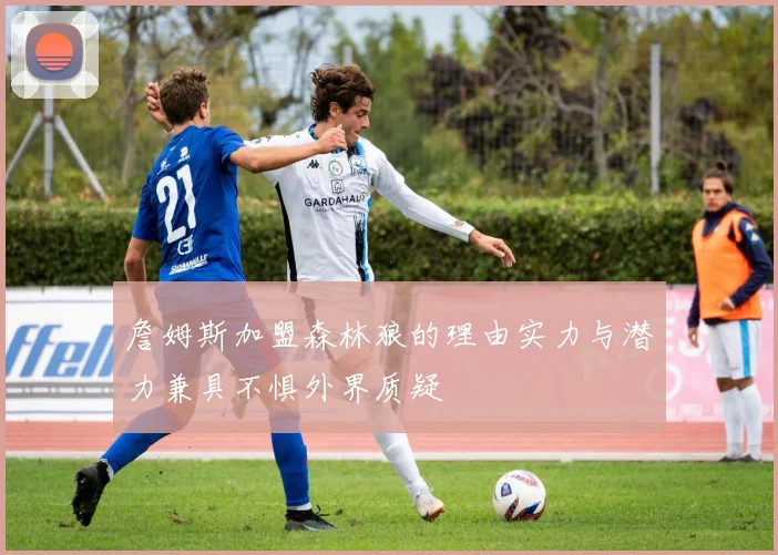 詹姆斯加盟森林狼的理由实力与潜力兼具不惧外界质疑