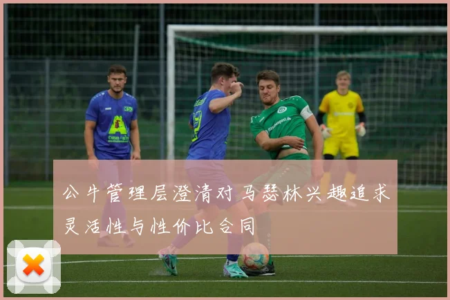 公牛管理层澄清对马瑟林兴趣追求灵活性与性价比合同